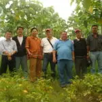 Delegations from Japan were visiting one of Serayu Group's plantation garden - 2010